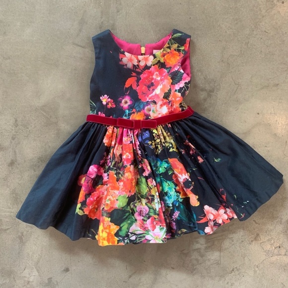 Gorgeous Zoë Ltd Formal colorful flower dress 2T - Picture 1 of 10